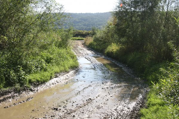 Dubinné, 17.9.2014
Meandry Topľy - cesta ke štěrkovým náplavům.
Klíčová slova: Dubinné řeka Topľa