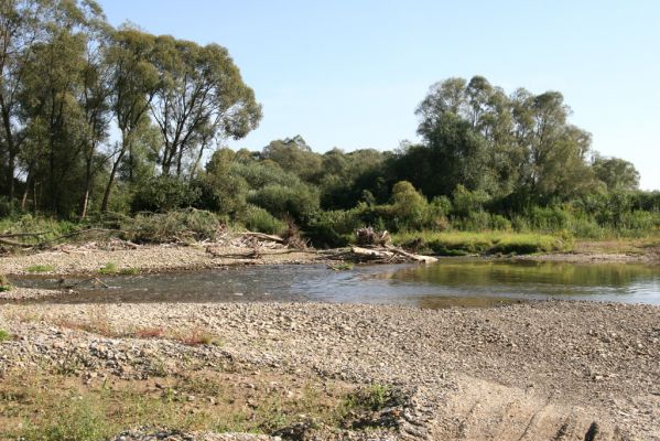 Dubinné, 17.9.2014
Meandry Topľy.



Klíčová slova: Dubinné řeka Topľa