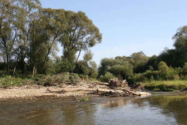 Dubinné, 17.9.2014
Meandry Topľy.


Klíčová slova: Dubinné řeka Topľa