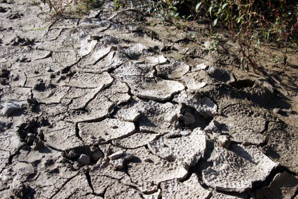 Dubinné, 17.9.2014
Meandry Topľy.



Schlüsselwörter: Dubinné řeka Topľa