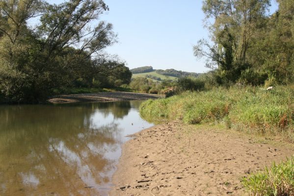 Dubinné, 17.9.2014
Meandry Topľy.



Klíčová slova: Dubinné řeka Topľa