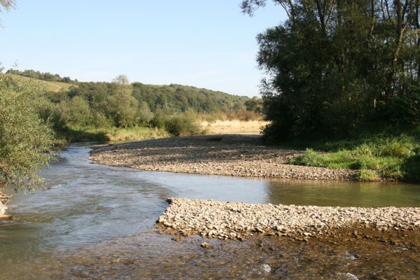 Dubinné, 17.9.2014
Meandry Topľy.



Keywords: Dubinné řeka Topľa