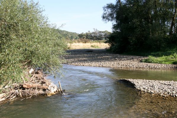 Dubinné, 17.9.2014
Meandry Topľy.


Schlüsselwörter: Dubinné řeka Topľa