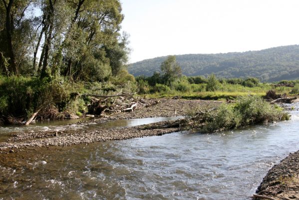 Dubinné, 17.9.2014
Meandry Topľy.



Mots-clés: Dubinné řeka Topľa