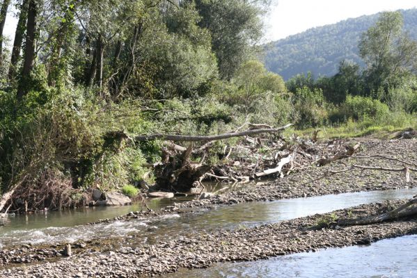 Dubinné, 17.9.2014
Meandry Topľy.



Klíčová slova: Dubinné řeka Topľa