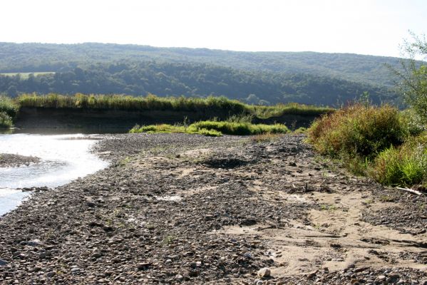 Dubinné, 17.9.2014
Meandry Topľy.



Mots-clés: Dubinné řeka Topľa Zorochros dermestoides