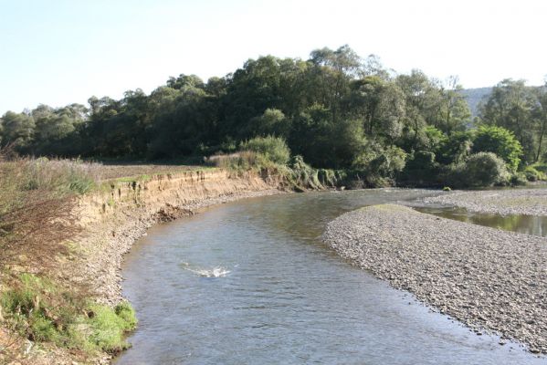 Dubinné, 17.9.2014
Meandry Topľy.



Klíčová slova: Dubinné řeka Topľa