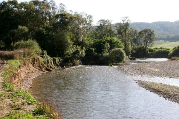 Dubinné, 17.9.2014
Meandry Topľy.



Klíčová slova: Dubinné řeka Topľa