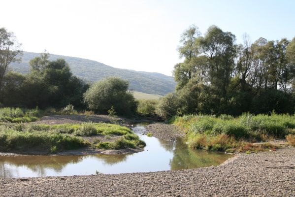 Dubinné, 17.9.2014
Meandry Topľy.


Klíčová slova: Dubinné řeka Topľa