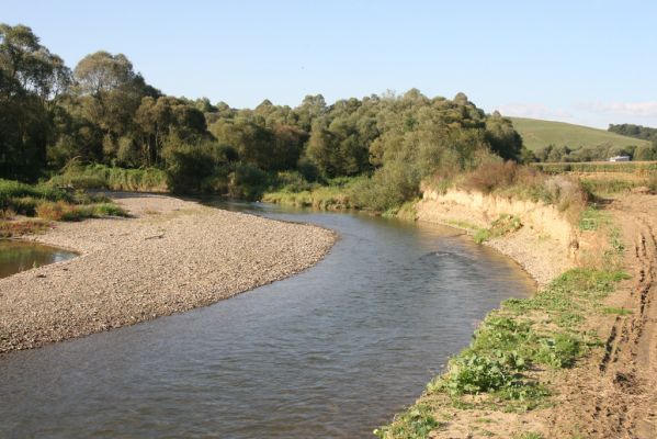 Dubinné, 17.9.2014
Meandry Topľy.



Klíčová slova: Dubinné řeka Topľa