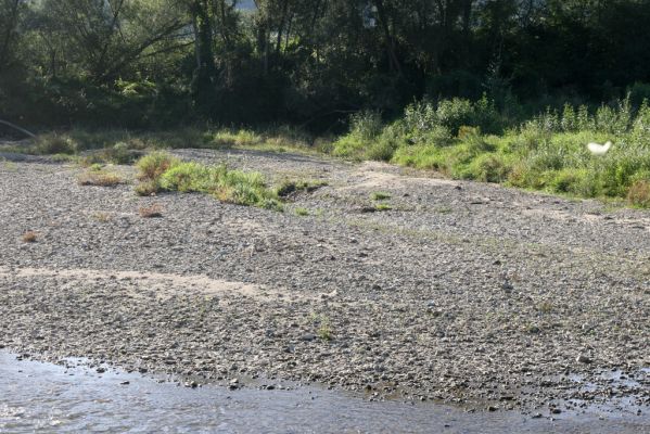 Dubinné, 17.9.2014
Meandry Topľy.



Klíčová slova: Dubinné řeka Topľa