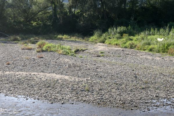 Dubinné, 17.9.2014
Meandry Topľy.



Schlüsselwörter: Dubinné řeka Topľa