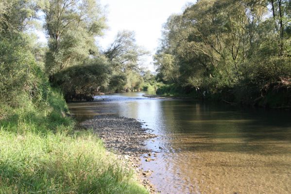 Dubinné, 17.9.2014
Meandry Topľy.



Klíčová slova: Dubinné řeka Topľa