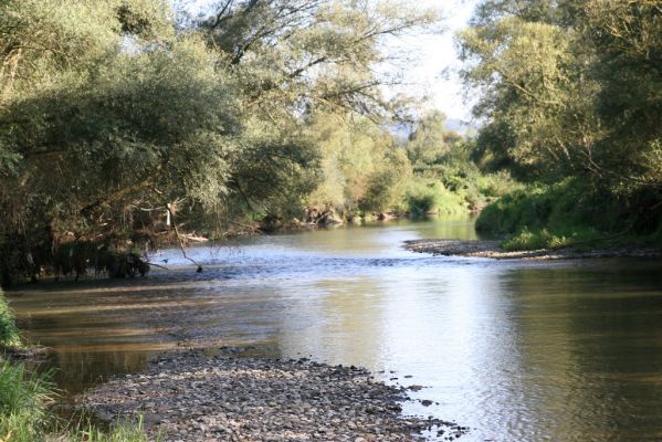 Dubinné, 17.9.2014
Meandry Topľy.


Klíčová slova: Dubinné řeka Topľa