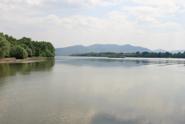 Chľaba, 6.5.2014
Na soutoku řek Ipeľu a Dunaje.


Klíčová slova: Chľaba Ipeľ Dunaj