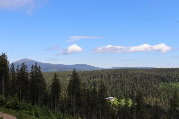 Janské Lázně, 1.7.2020
Krkonoše, pohled na Velké Pardubické Boudy a Sněžku z Černé hory.
Schlüsselwörter: Janské Lázně Krkonoše Černá hora Sněžka Velké Pardubické Boudy