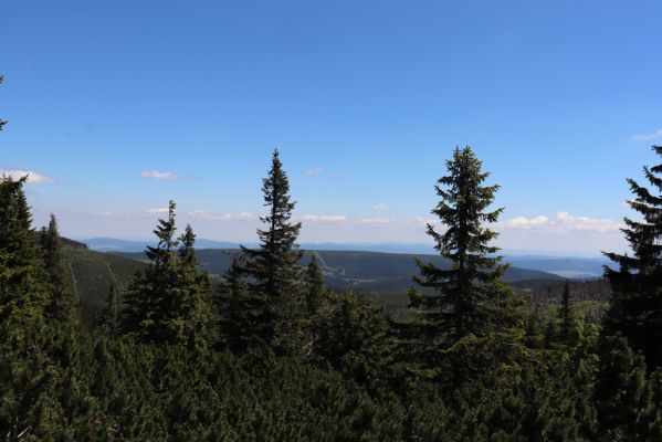 Malá Úpa, 4.7.2020
Krkonoše. Pohled od Růžovohorského sedla na Malou Úpu.
Klíčová slova: Malá Úpa Krkonoše Růžovohorské sedlo