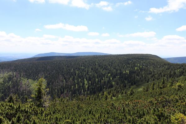 Malá Úpa, 4.7.2020
Krkonoše. Pohled od Sněžky na Růžovou horu a Černou horu.
Keywords: Malá Úpa Krkonoše Sněžka Růžová hora Černá hora