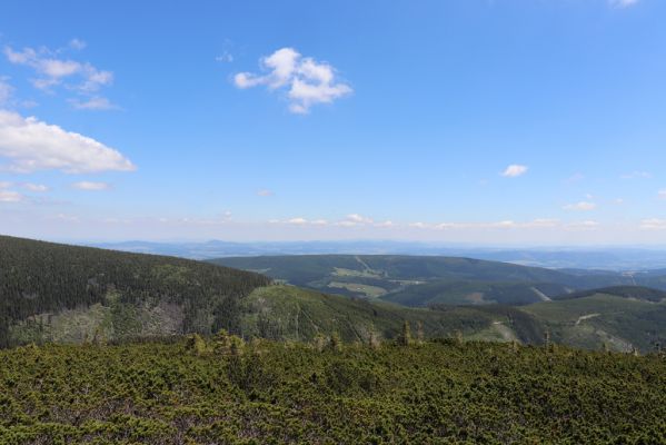 Malá Úpa, 4.7.2020
Krkonoše. Pohled od Sněžky na Svorovou horu, Jelení horu a Malou Úpu.
Mots-clés: Malá Úpa Krkonoše Sněžka Svorová hora Jelení hora