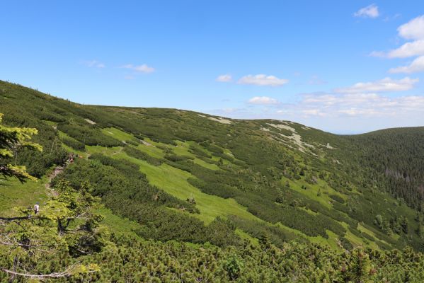 Malá Úpa, 4.7.2020
Krkonoše. Slunečné údolí pod Obřím hřebenem.
Mots-clés: Malá Úpa Krkonoše Obří hřeben Slunečné údolí