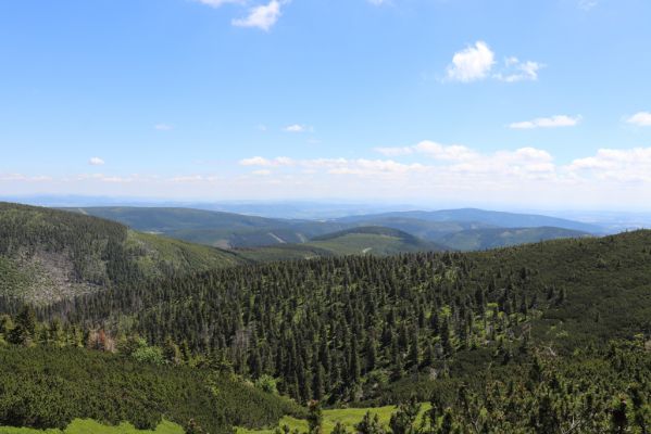 Malá Úpa, 4.7.2020
Krkonoše. Slunečné údolí pod Obřím hřebenem.
Mots-clés: Malá Úpa Krkonoše Obří hřeben Slunečné údolí