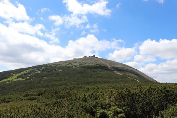 Malá Úpa, 4.7.2020
Krkonoše, pohled z Obřího hřebenu na Sněžku.
Schlüsselwörter: Malá Úpa Krkonoše Sněžka Obří hřeben Sericus subaeneus Liotrichus affinis Hypnoidus consobrinus