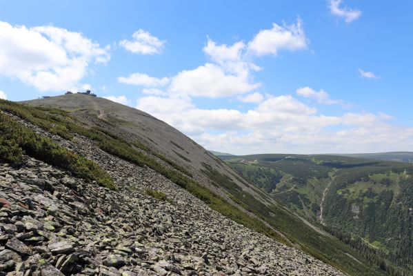 Malá Úpa, 4.7.2020
Krkonoše, pohled z Obřího hřebenu na Sněžku a Obří sedlo.
Klíčová slova: Malá Úpa Krkonoše Sněžka Obří hřeben