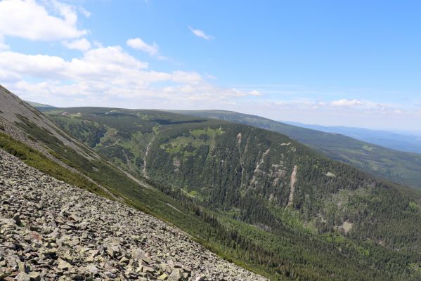 Malá Úpa, 4.7.2020
Krkonoše, pohled z Obřího hřebenu na Obří sedlo, Kopu a Vysoké kolo.
Schlüsselwörter: Malá Úpa Krkonoše Obří hřeben Obří sedlo Kopa Vysoké kolo