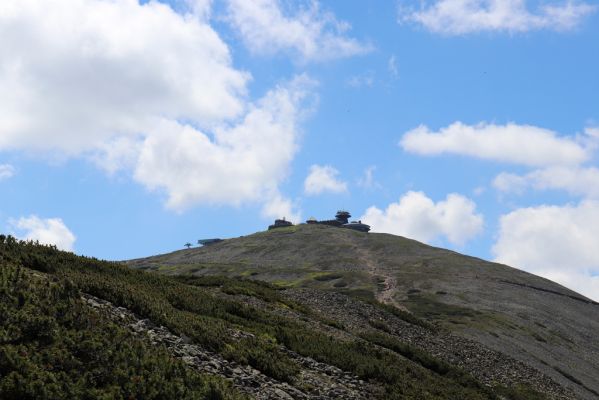 Malá Úpa, 4.7.2020
Krkonoše, pohled z Obřího hřebenu na Sněžku.
Klíčová slova: Malá Úpa Krkonoše Sněžka Obří hřeben