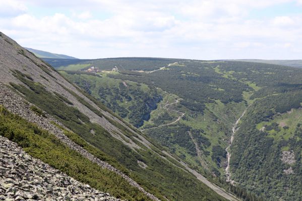 Malá Úpa, 4.7.2020
Krkonoše, pohled z Obřího hřebenu na Obří sedlo.
Klíčová slova: Malá Úpa Krkonoše Obří hřeben Obří sedlo