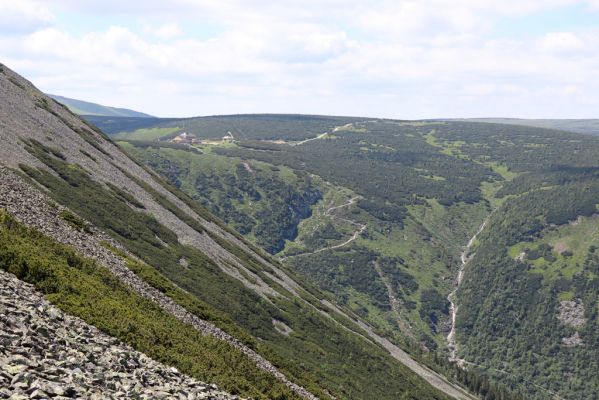 Malá Úpa, 4.7.2020
Krkonoše, pohled z Obřího hřebenu na Obří sedlo.
Mots-clés: Malá Úpa Krkonoše Obří hřeben Obří sedlo