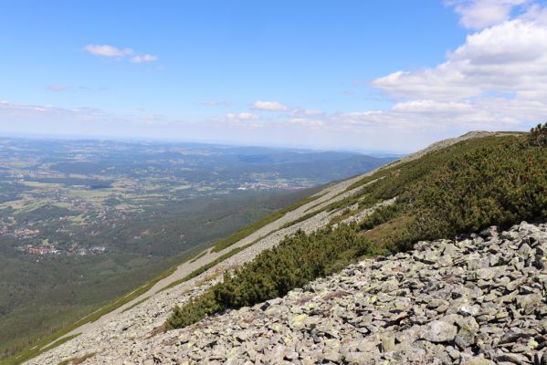 Malá Úpa, 4.7.2020
Krkonoše, pohled z Obřího hřebenu na Polsko.
Mots-clés: Malá Úpa Krkonoše Obří hřeben