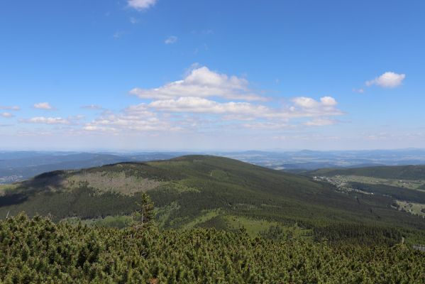 Malá Úpa, 4.7.2020
Krkonoše, pohled ze Svorové hory na Lesní hřeben a Pomezní Boudy.
Schlüsselwörter: Malá Úpa Krkonoše Svorová hora Lesní hřeben Pomezní Boudy