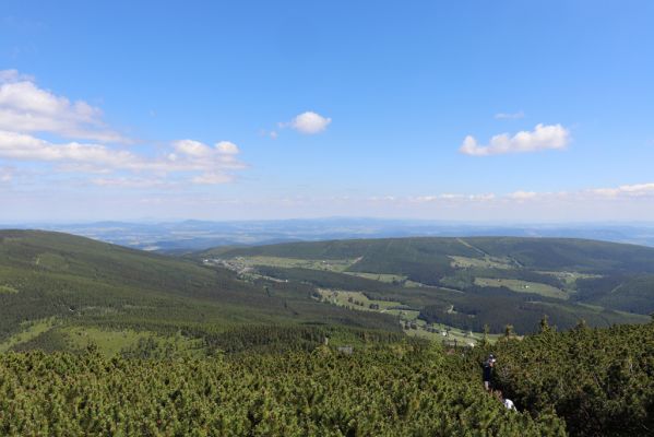 Malá Úpa, 4.7.2020
Krkonoše, pohled ze Svorové hory na Lesní hřeben a Pomezní Boudy.
Klíčová slova: Malá Úpa Krkonoše Svorová hora Lesní hřeben Pomezní Boudy