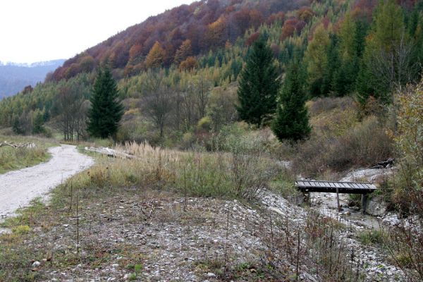 Fačkov, 20.10.2010
Fačkov - dolina pod Kľakem. Štěrkové náplavy na břehu potoka jsou osídleny kovaříky Zorochros flavipes.
Schlüsselwörter: Fačkov Zorochros flavipes