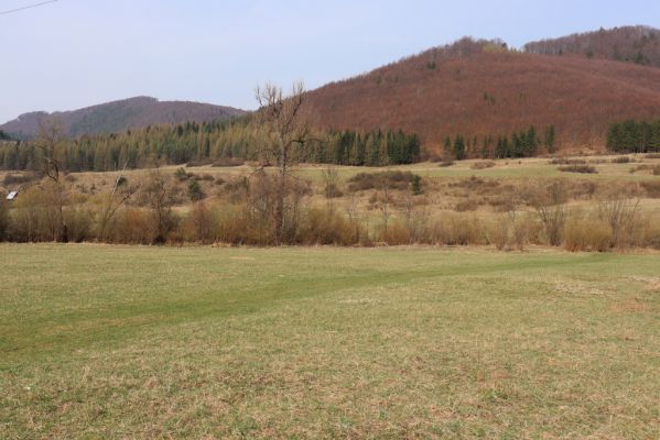 Fačkov, 9.4.2019
Niva Rajčianky.
Keywords: Fačkov Rajčianka