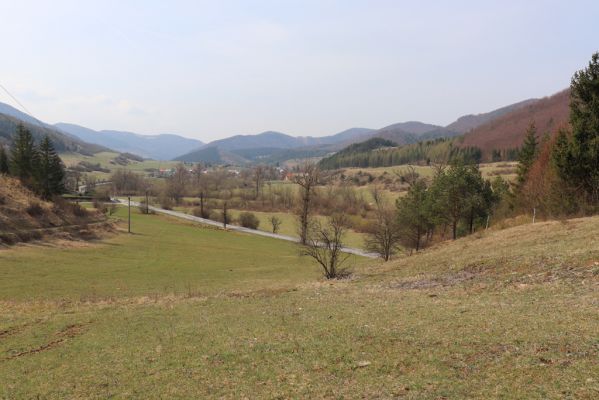 Fačkov, 9.4.2019
Pastvina nad Brockov potokem.
Klíčová slova: Fačkov Brockov potok