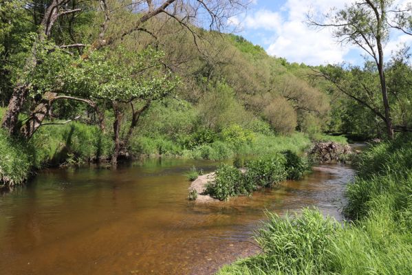 Višňová, Filipovka, 29.5.2020
Meandry Smědé.
Schlüsselwörter: Višňová Filipovka meandry Smědá