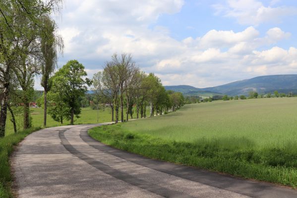 Černý Důl, 27.5.2019
Fořt.
Mots-clés: Černý Důl Fořt