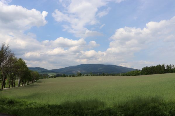 Černý Důl, 27.5.2019
Fořt - pohled na Černou horu.
Klíčová slova: Černý Důl Fořt Černá hora