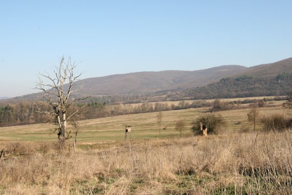 Dobrá Niva, 14.3.2014
Gavurky, severozápadní okraj u bývalého kravína.
Klíčová slova: Dobrá Niva Gavurky