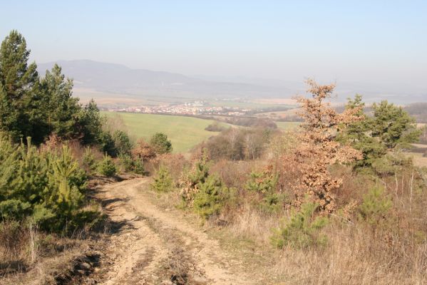 Dobrá Niva, 14.3.2014
Gavurky. Zarůstající cesta k bývalému kravínu.
Klíčová slova: Dobrá Niva Gavurky