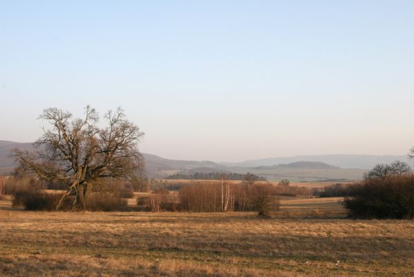 Dobrá Niva, 14.3.2014
Gavurky, starý pastevní les. Centrální část, pohled na jih.
Mots-clés: Dobrá Niva Gavurky