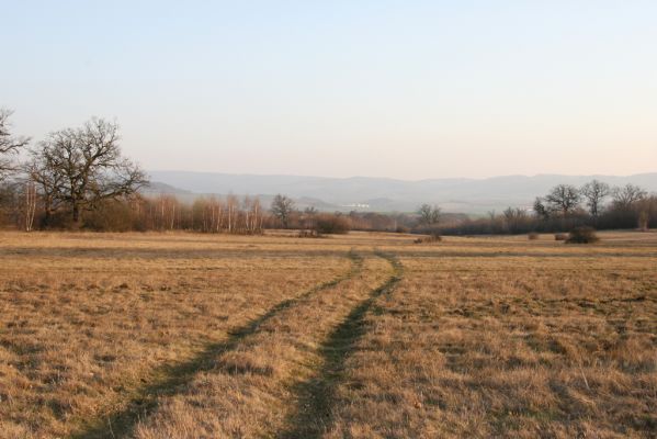 Dobrá Niva, 14.3.2014
Gavurky, starý pastevní les. Centrální část.
Klíčová slova: Dobrá Niva Gavurky