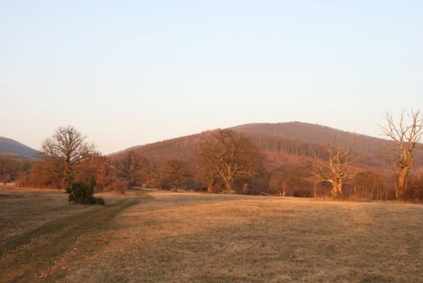 Dobrá Niva, 14.3.2014
Gavurky, starý pastevní les. Severní část, pohled na Javorie (Tri vrchy).
Klíčová slova: Dobrá Niva Gavurky