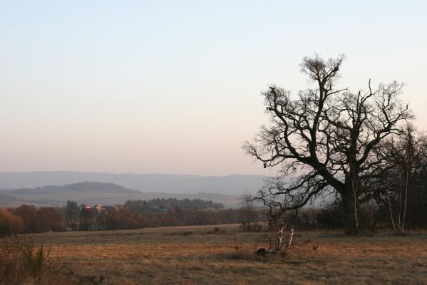 Dobrá Niva, 14.3.2014
Gavurky, starý pastevní les.
Klíčová slova: Dobrá Niva Gavurky