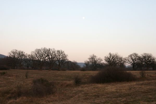 Dobrá Niva, 14.3.2014
Gavurky, starý pastevní les.
Klíčová slova: Dobrá Niva Gavurky