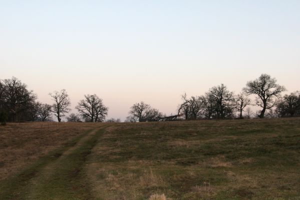 Dobrá Niva, 14.3.2014
Gavurky, starý pastevní les.
Klíčová slova: Dobrá Niva Gavurky