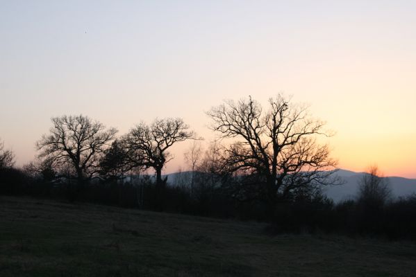 Dobrá Niva, 14.3.2014
Gavurky, starý pastevní les.
Klíčová slova: Dobrá Niva Gavurky