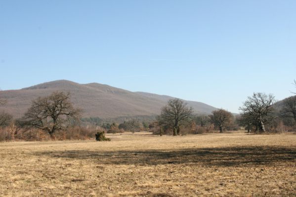 Dobrá Niva, 14.3.2014
Gavurky, starý pastevní les. Centrální část, pohled na Biele bralo (Javorie).
Klíčová slova: Dobrá Niva Gavurky